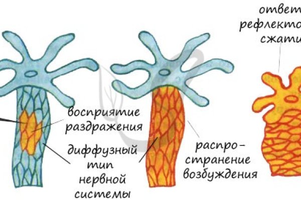 Kra48.at