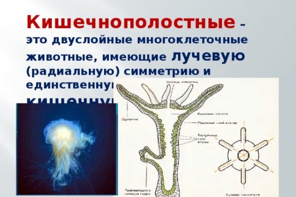 Как восстановить страницу на кракене