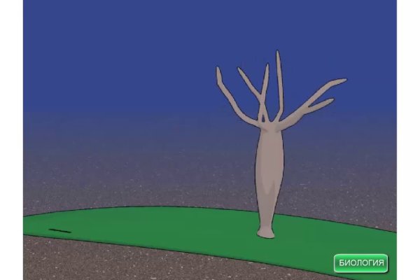 Kraken 26 at