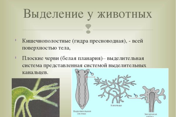 Кракен сайт официальный kraken clear com