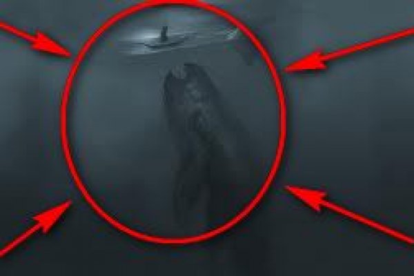 Kraken зеркало krakentor site