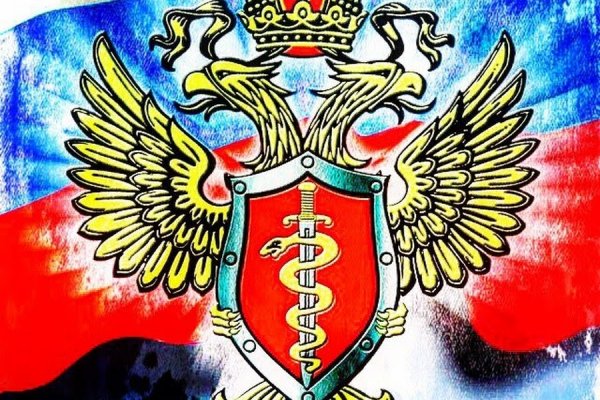 Как зайти в кракен торе