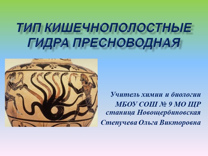 Кракен гидра