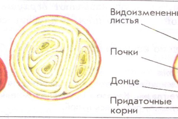 Ссылка на kraken торговая площадка