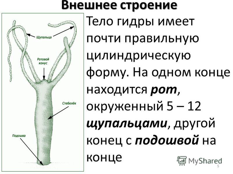 Kra38.cc Вход на сайт главная страница